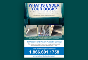 What is under your dock?