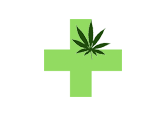 Cannabis