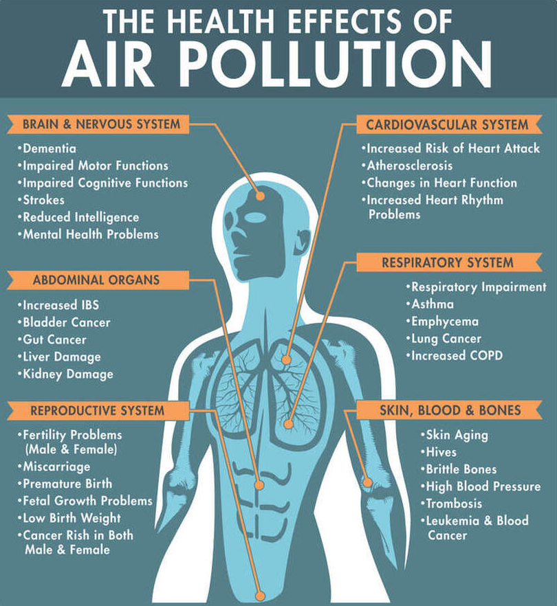 essay on effects of air pollution on health