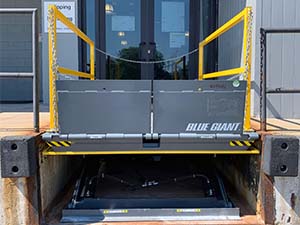 LoMaster Stationary Dock Lift – Bayshore Specialty Rx Ltd
